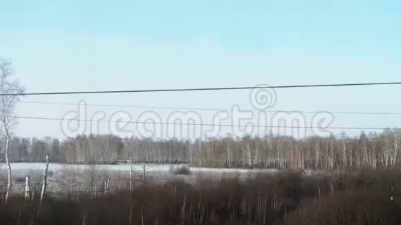 西伯利亚春季景观视频的预览图