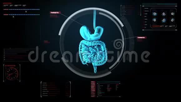 变焦身体扫描内脏器数字显示中的消化系统蓝色X射线视图视频的预览图