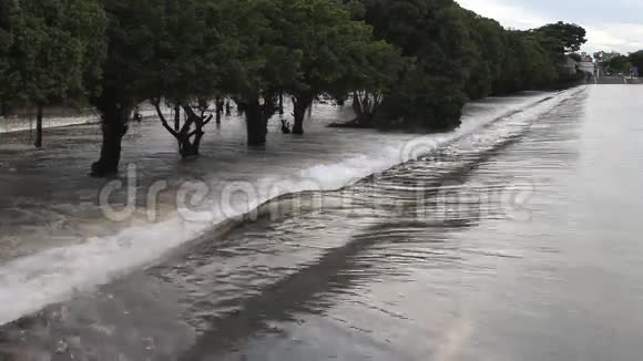 洪水水流过马路树线背景视频的预览图