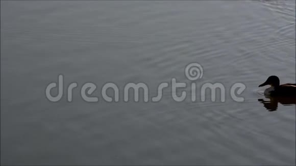 德国斯潘道柏林的斯派克特湖视频的预览图