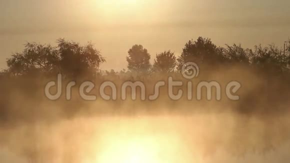 晨雾在河上视频的预览图