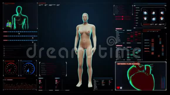 数字显示仪表板中旋转女性人体心血管系统骨骼结构骨系统蓝色X光灯视频的预览图