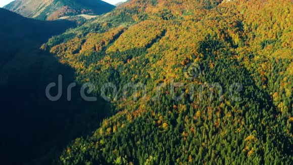 秋天山上色彩斑斓的树木的空中拍摄视频的预览图