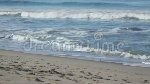 靠近圣莫尼卡码头的海浪和海滩视频的预览图