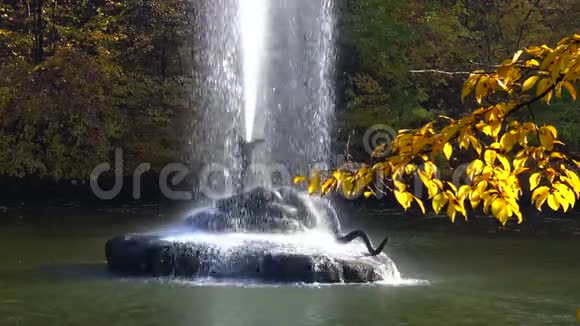 乌曼索菲夫斯基公园湖中的喷泉视频的预览图
