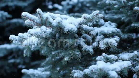 降雪视频的预览图