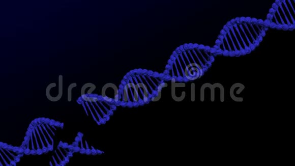 DNA分子损伤3D绘制视频的预览图