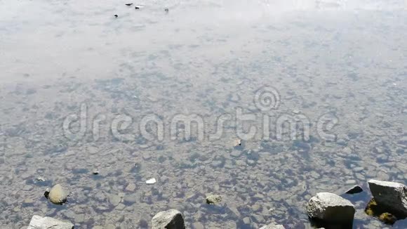 清澈透明的浅水湾波纹闪闪发光的湖砾石视频的预览图