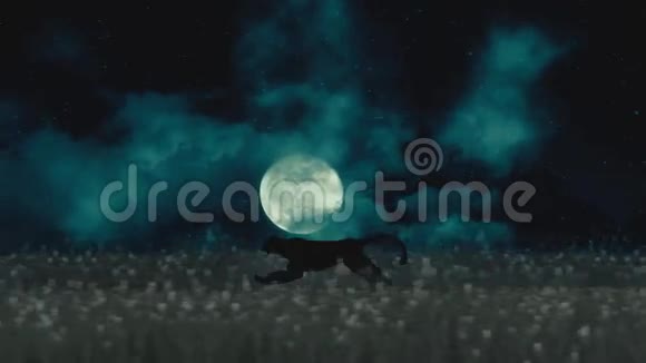 在满月背景下猎豹或黑豹在黑夜中奔跑视频的预览图
