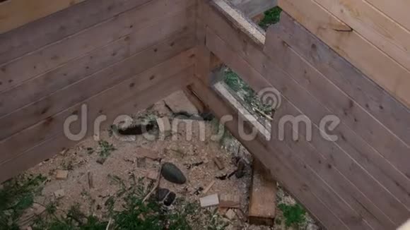 木建筑施工视频的预览图