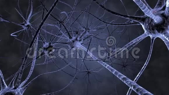 神经元运行神经冲动视频的预览图