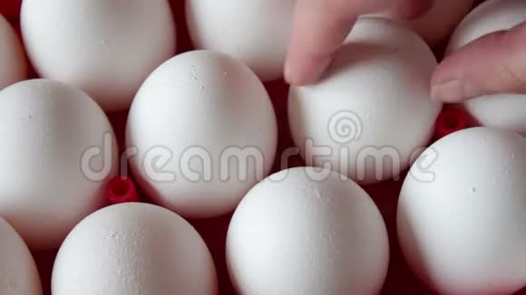 新鲜的生鸡蛋放在红色托盘里视频的预览图