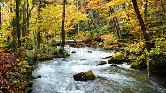 秋季的依拉西山溪流视频的预览图