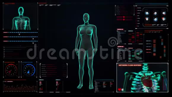 女性人体扫描内脏消化系统数字显示用户界面上的蓝色X射线灯视频的预览图