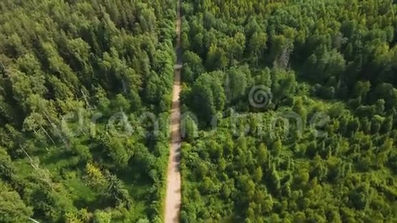 森林里的路视频的预览图