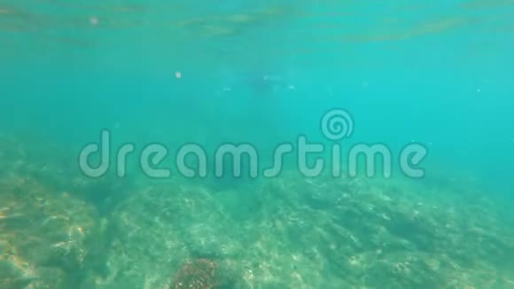 一个年轻女子在美丽的海洋里浮潜潜水的慢镜头视频的预览图