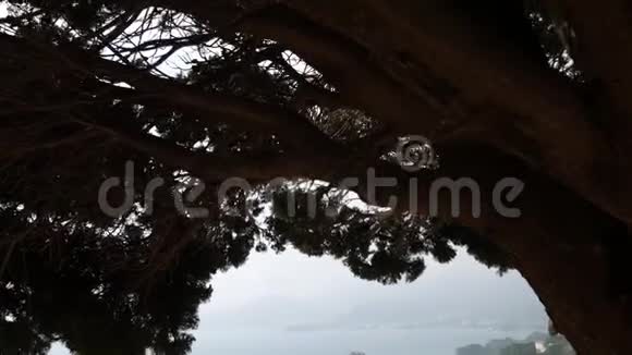 斯维蒂斯特凡岛从克拉维纳格拉维卡海滩观看蒙蒙视频的预览图