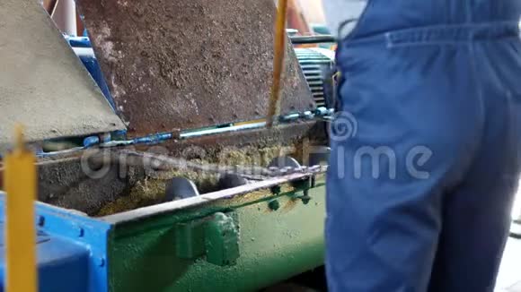 菜籽油的生产油菜籽的加工菜籽油种子的供应给冷压榨机视频的预览图