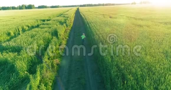 鸟瞰年轻男孩骑着自行车穿过古老的乡村道路上的麦田阳光和光束视频的预览图