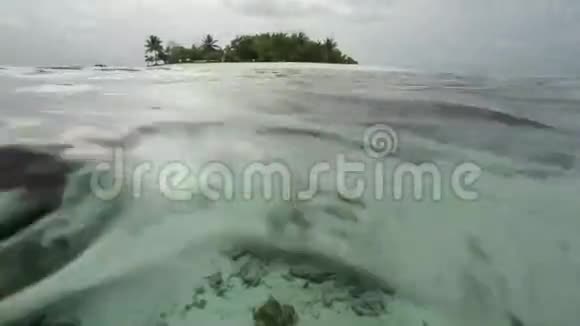 热带岛屿和珊瑚礁水下生活视频的预览图