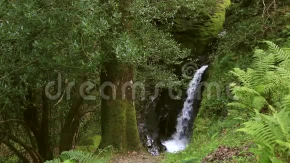 格伦达洛美丽的瀑布视频的预览图