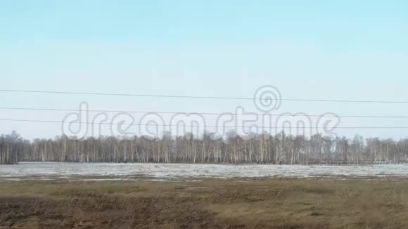 西伯利亚春季景观视频的预览图