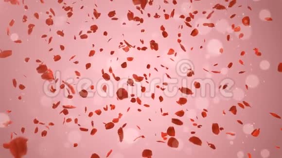 浪漫的红玫瑰花瓣飞来飞去背景优美结婚视频的预览图