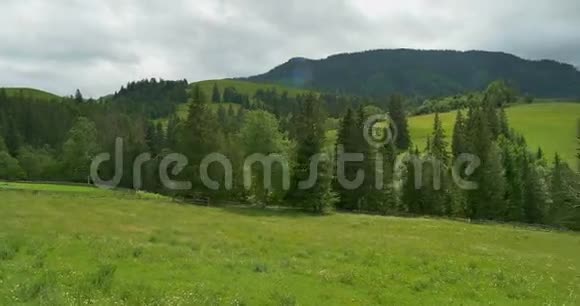 青山绿水多云的天空和山丘草地惊慌失措山林之中美丽的松树视频的预览图