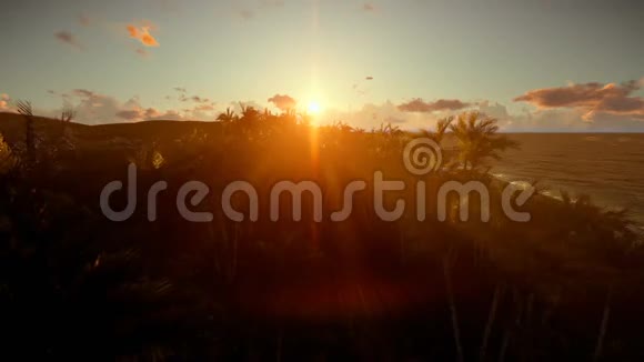 热带岛屿棕榈树对抗美丽的日落视频的预览图