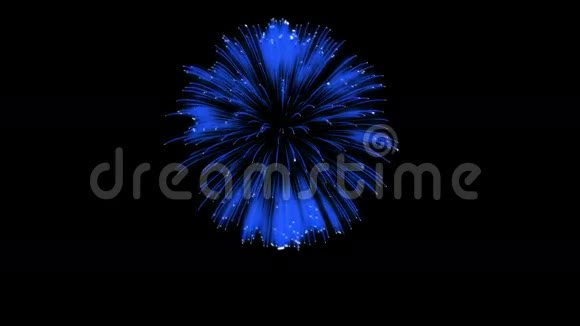 色彩斑斓的单根烟火在夜晚壮观的单一烟花3D渲染蓝色版本27视频的预览图