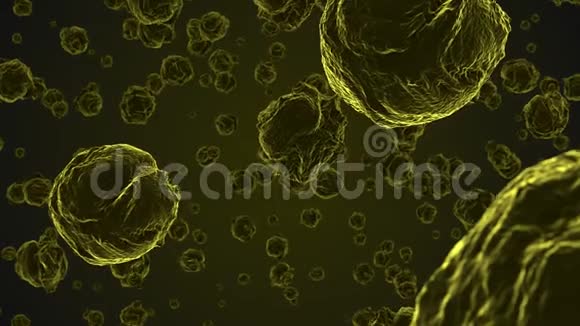 显微镜下提取黄色病毒细胞视频的预览图
