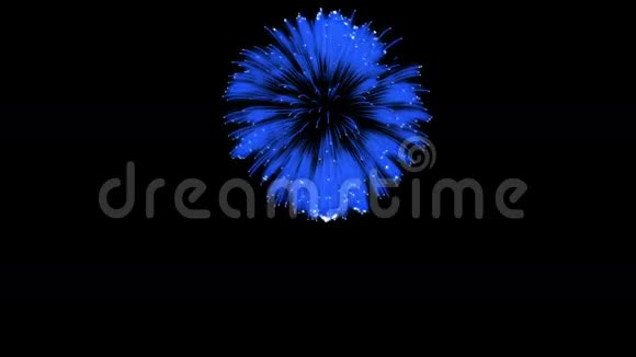 色彩斑斓的单根烟火在夜晚壮观的单一烟花3D渲染蓝色版本20视频的预览图