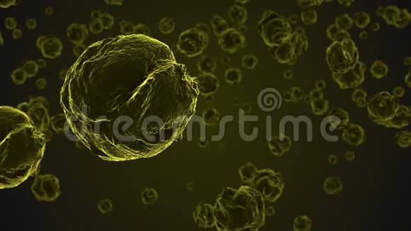 显微镜下提取黄色病毒细胞视频的预览图