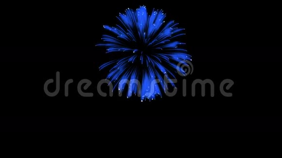 色彩斑斓的单根烟火在夜晚壮观的单一烟花3D渲染蓝色版本25视频的预览图