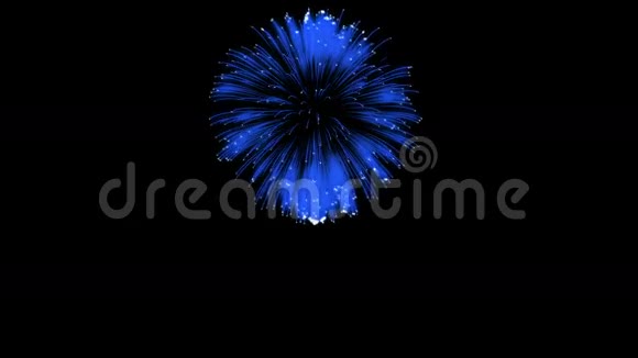 色彩斑斓的单根烟火在夜晚壮观的单一烟花3D渲染蓝色版本16视频的预览图