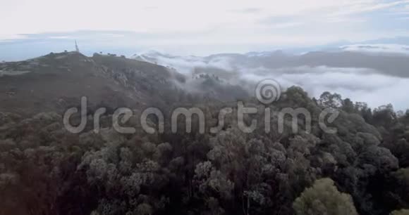 在森林上空飘着雾视频的预览图