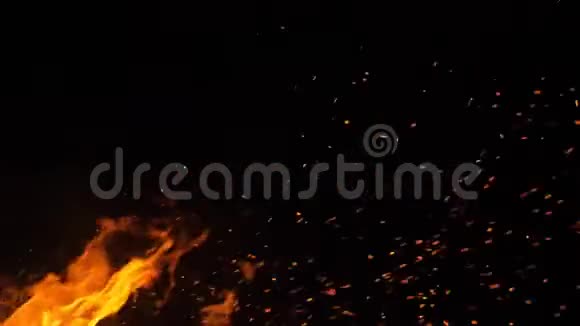 在大自然中燃烧从火里出来视频的预览图