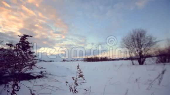冬林夕阳西下多莉镜头移动平稳视频的预览图