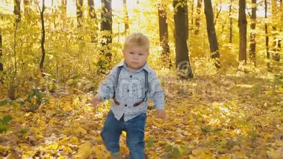 秋天森林里的小男孩视频的预览图