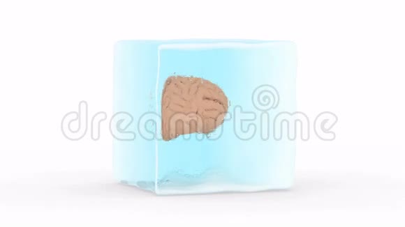 大脑被冰封视频的预览图