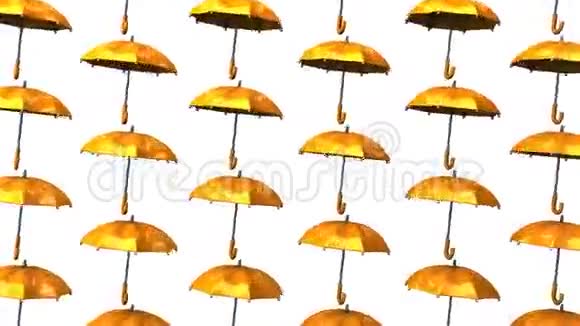橙色雨伞视频的预览图