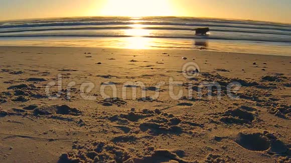日落时分的诺德霍克海滩视频的预览图