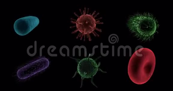 黑色背景下产生的病毒细胞红细胞和细菌视频的预览图
