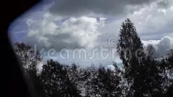 森林和天空视频的预览图