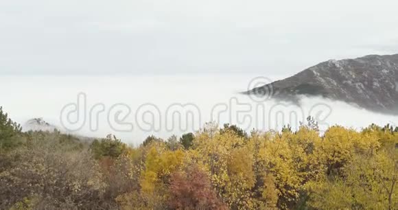 秋天有很多雾的山视频的预览图