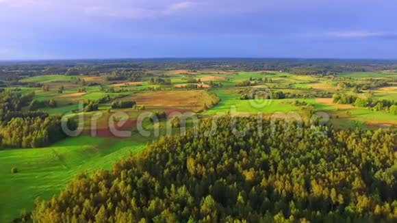 无人机飞越乡村农田视频的预览图