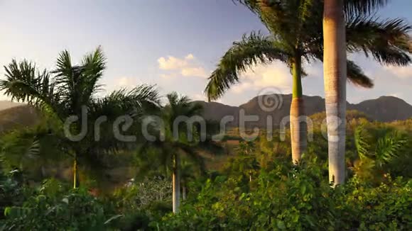 古巴里约皮纳尔德里约维纳斯山谷视频的预览图