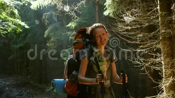 女孩徒步旅行者在森林里散步视频的预览图