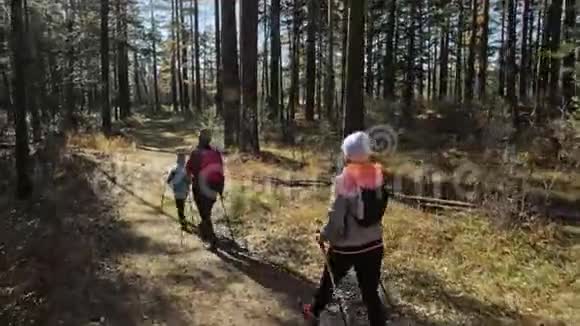 女人在大自然中行走北欧女孩和孩子使用跋涉棒和北欧杆背包家庭旅行视频的预览图