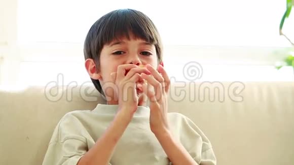 微笑的孩子吃着一个红苹果视频的预览图